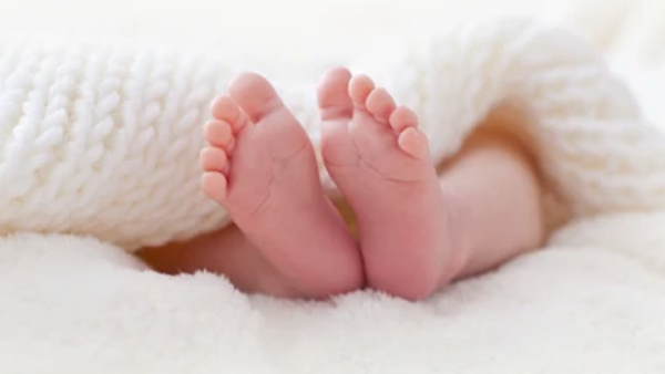 A U.S. Constitution document with a quill, ink bottle, and American flag, symbolizing the founding principles supported by FFROA.
