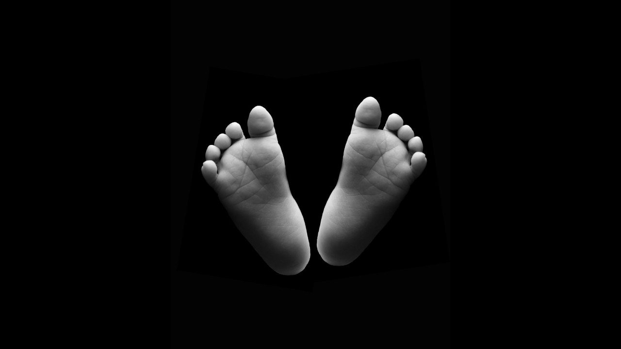 A U.S. Constitution document with a quill, ink bottle, and American flag, symbolizing the founding principles supported by FFROA.